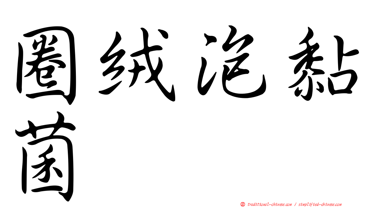 圈絨泡黏菌