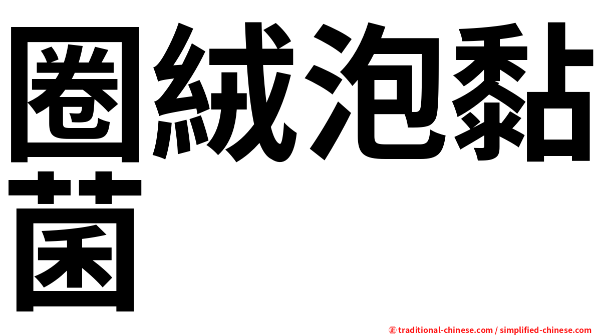 圈絨泡黏菌