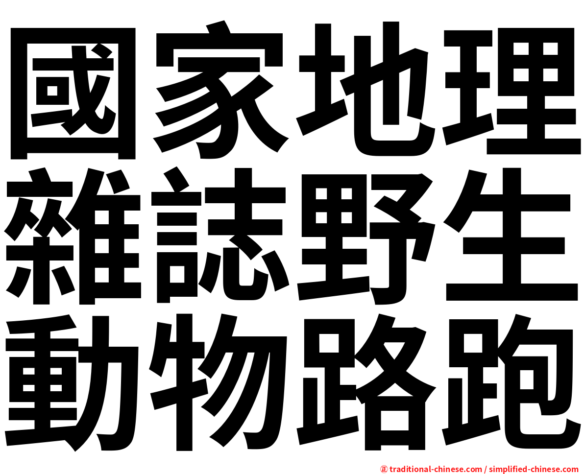 國家地理雜誌野生動物路跑
