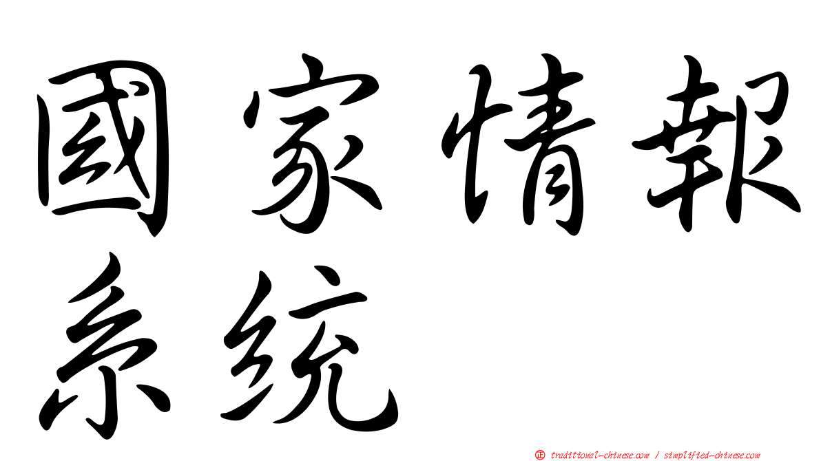 國家情報系統