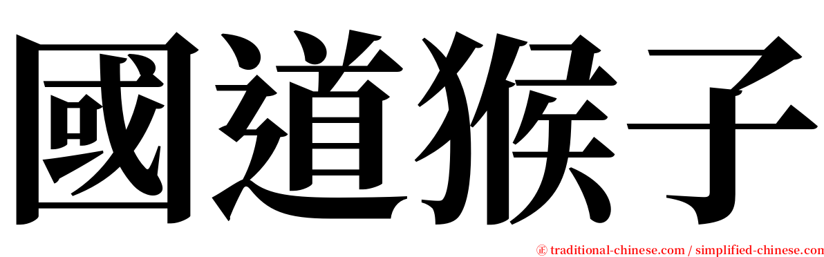 國道猴子 serif font