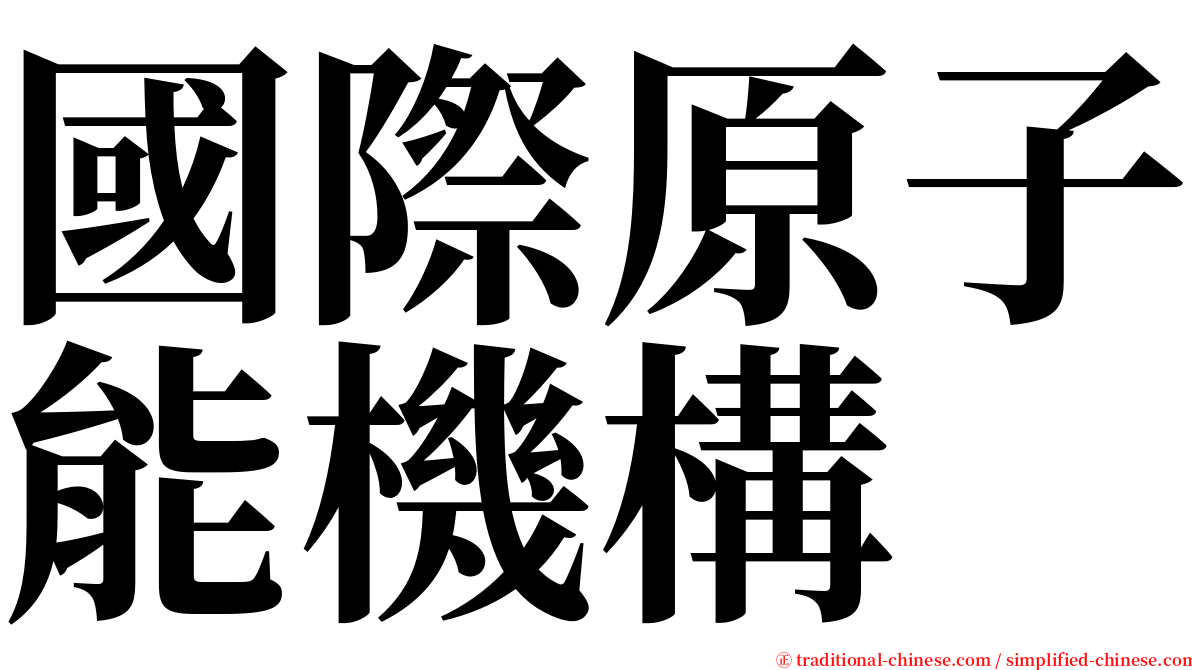 國際原子能機構 serif font