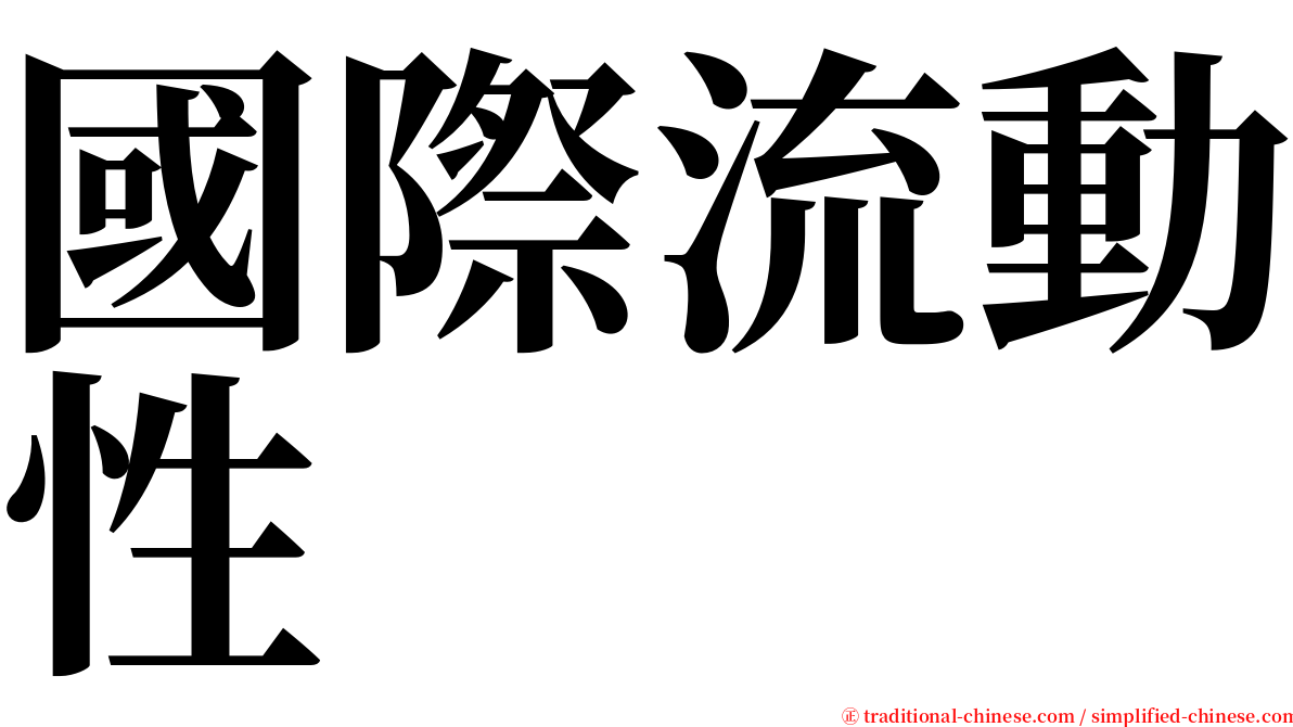 國際流動性 serif font