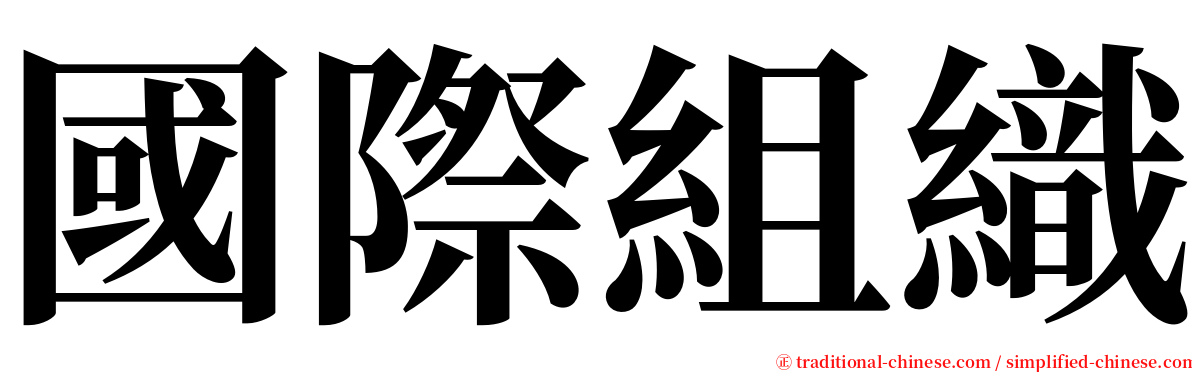 國際組織 serif font