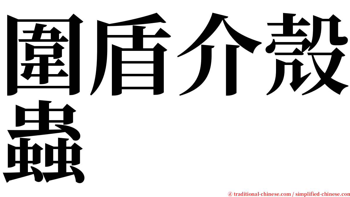圍盾介殼蟲 serif font