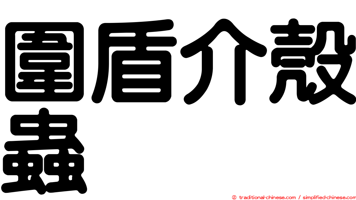 圍盾介殼蟲