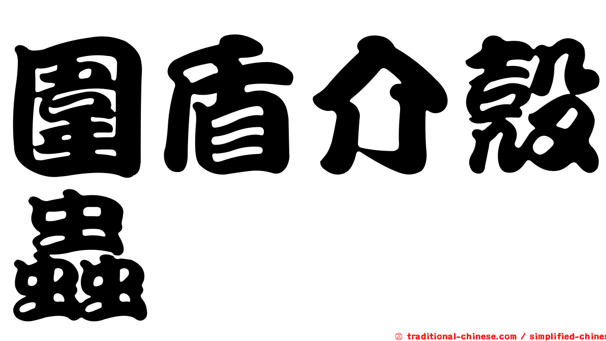圍盾介殼蟲