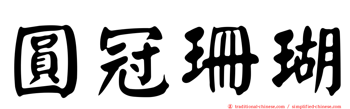 圓冠珊瑚