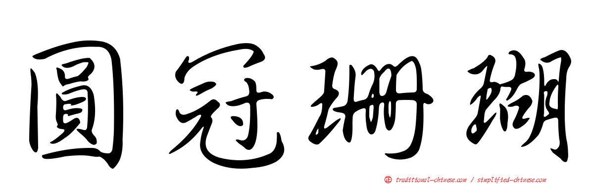 圓冠珊瑚