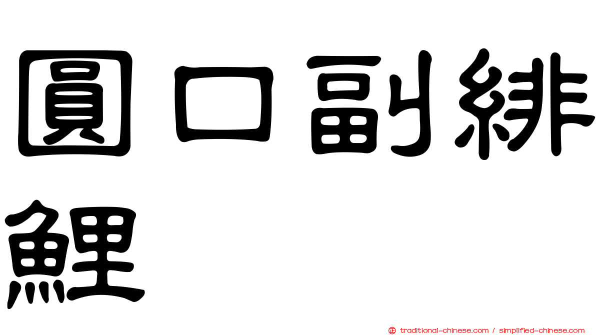 圓口副緋鯉