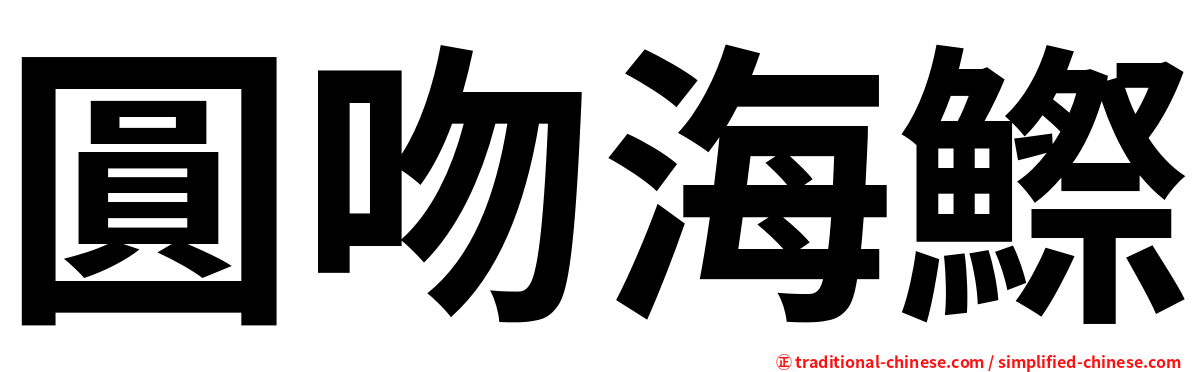 圓吻海鰶