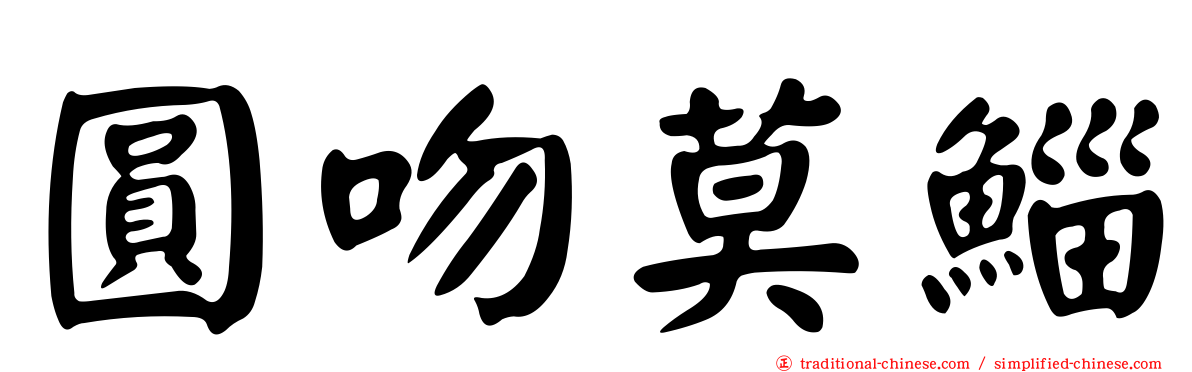 圓吻莫鯔