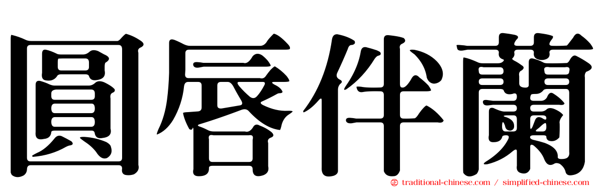 圓唇伴蘭