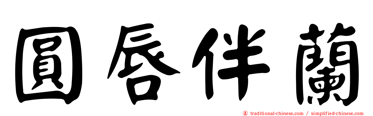 圓唇伴蘭