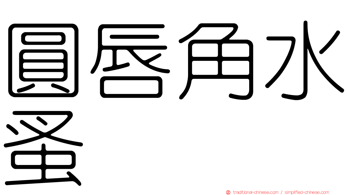 圓唇角水蚤