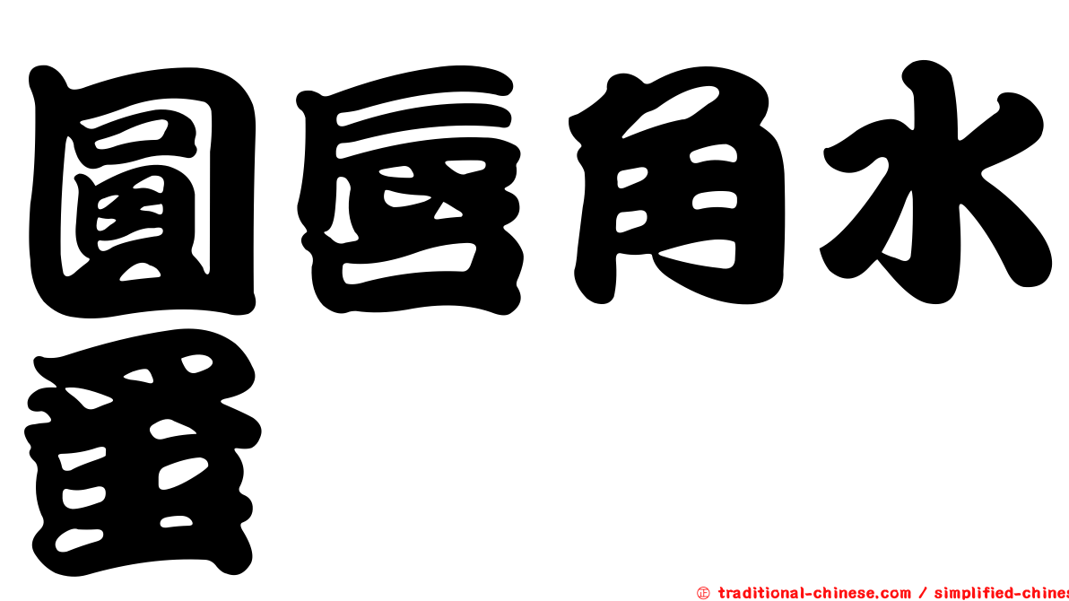 圓唇角水蚤