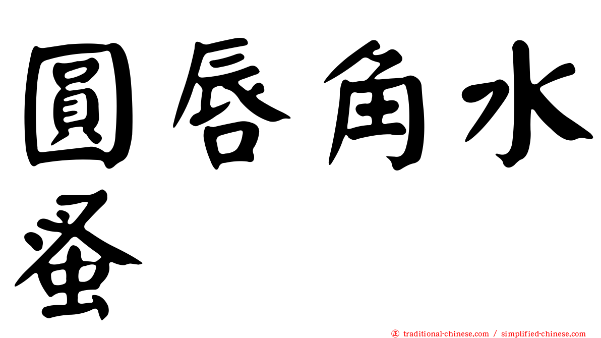 圓唇角水蚤