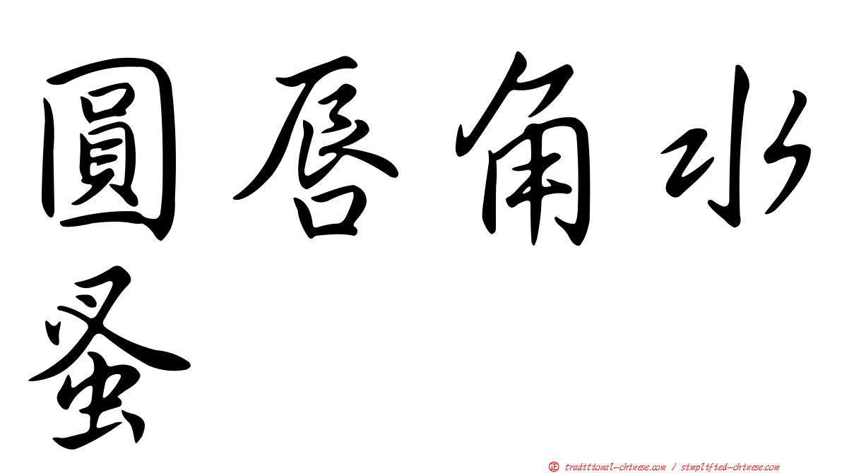 圓唇角水蚤