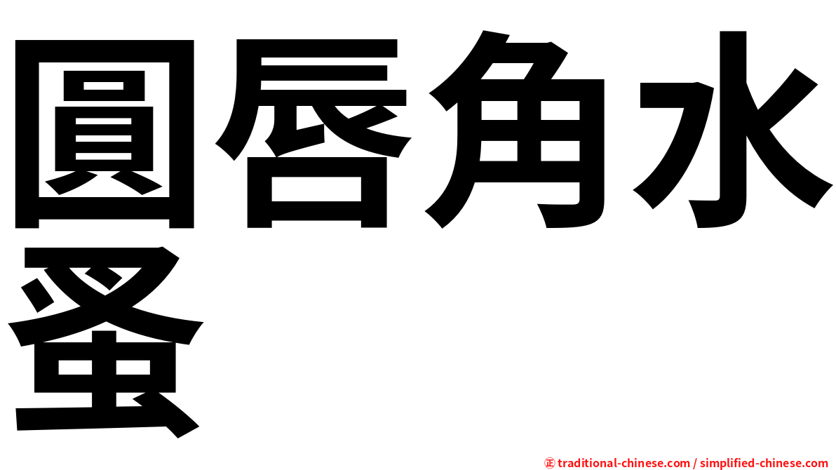 圓唇角水蚤