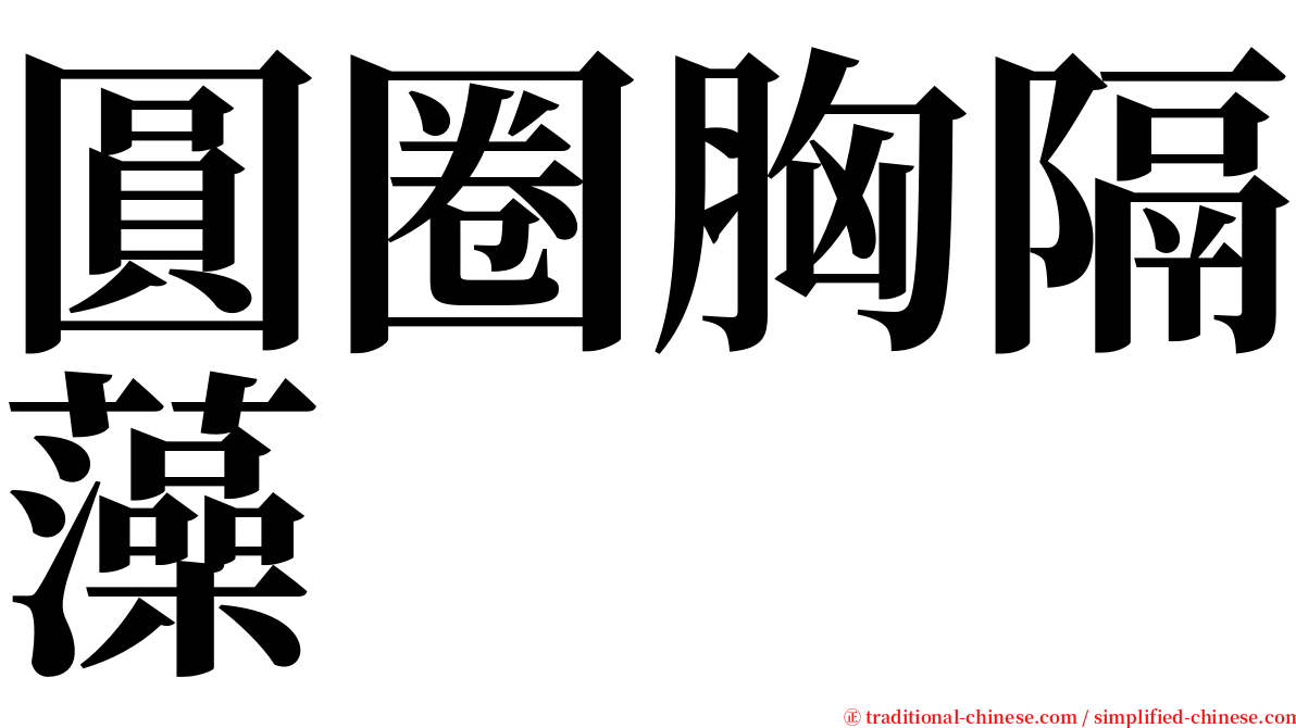 圓圈胸隔藻 serif font