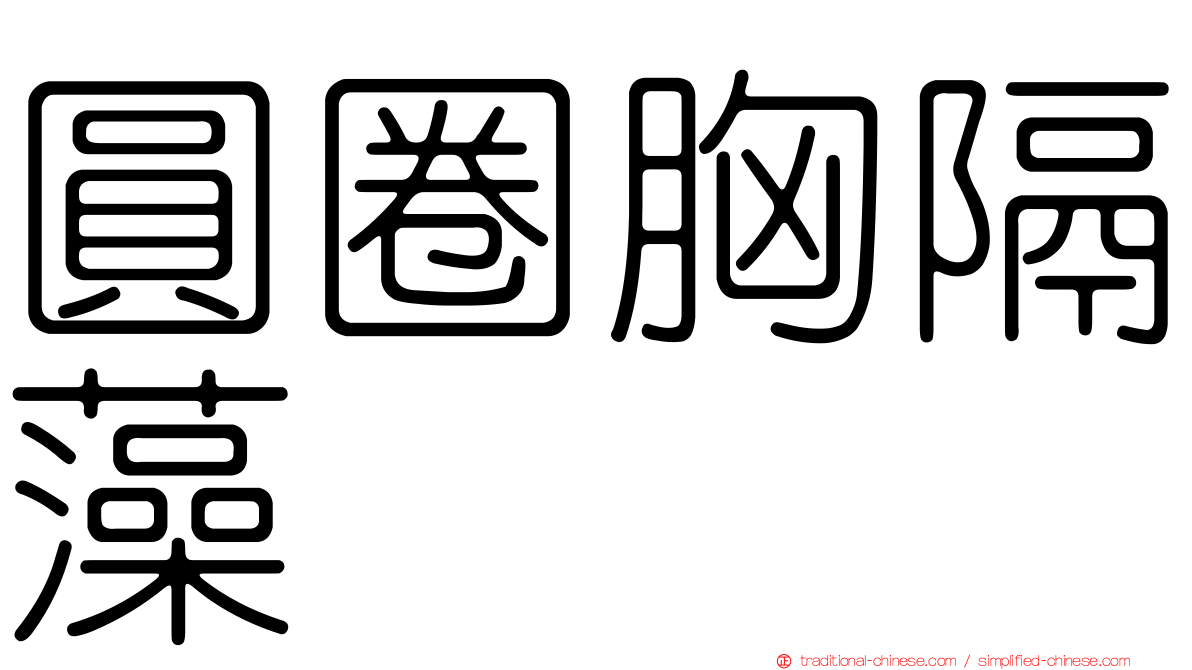 圓圈胸隔藻