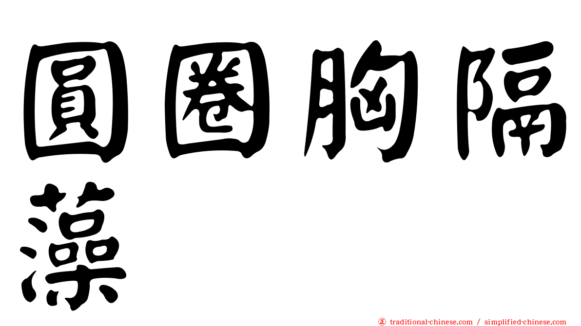 圓圈胸隔藻