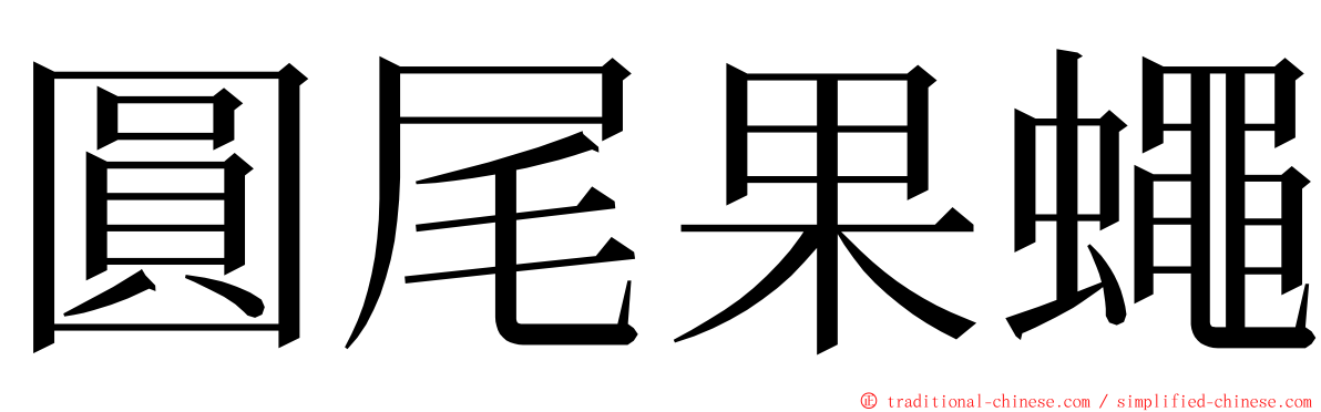 圓尾果蠅 ming font