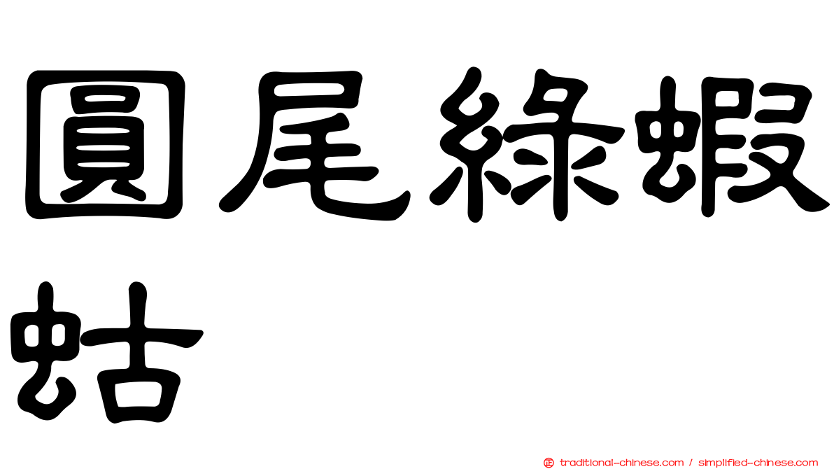 圓尾綠蝦蛄