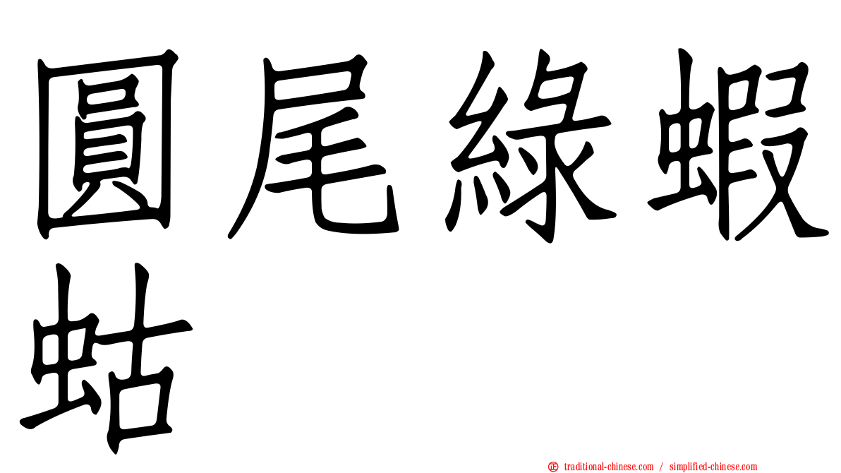 圓尾綠蝦蛄