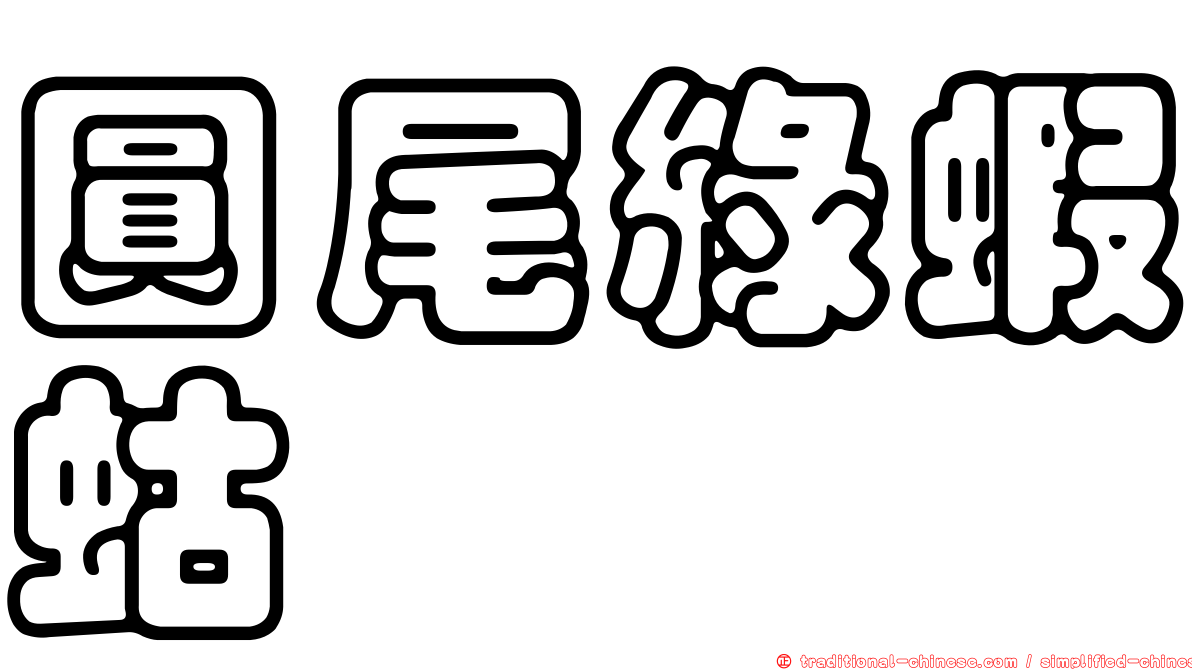 圓尾綠蝦蛄