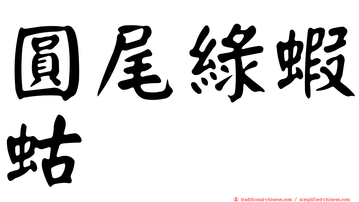 圓尾綠蝦蛄