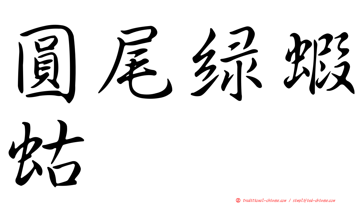 圓尾綠蝦蛄