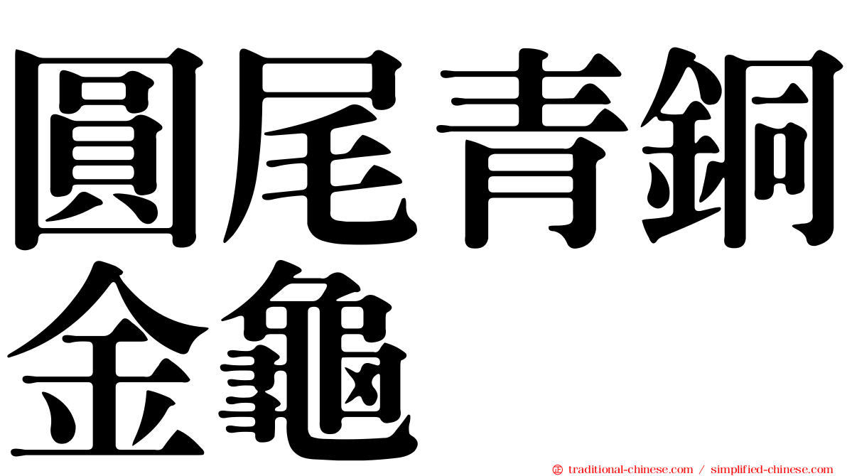 圓尾青銅金龜