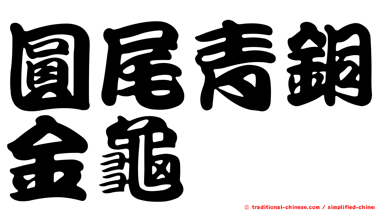 圓尾青銅金龜