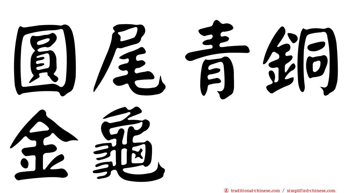 圓尾青銅金龜