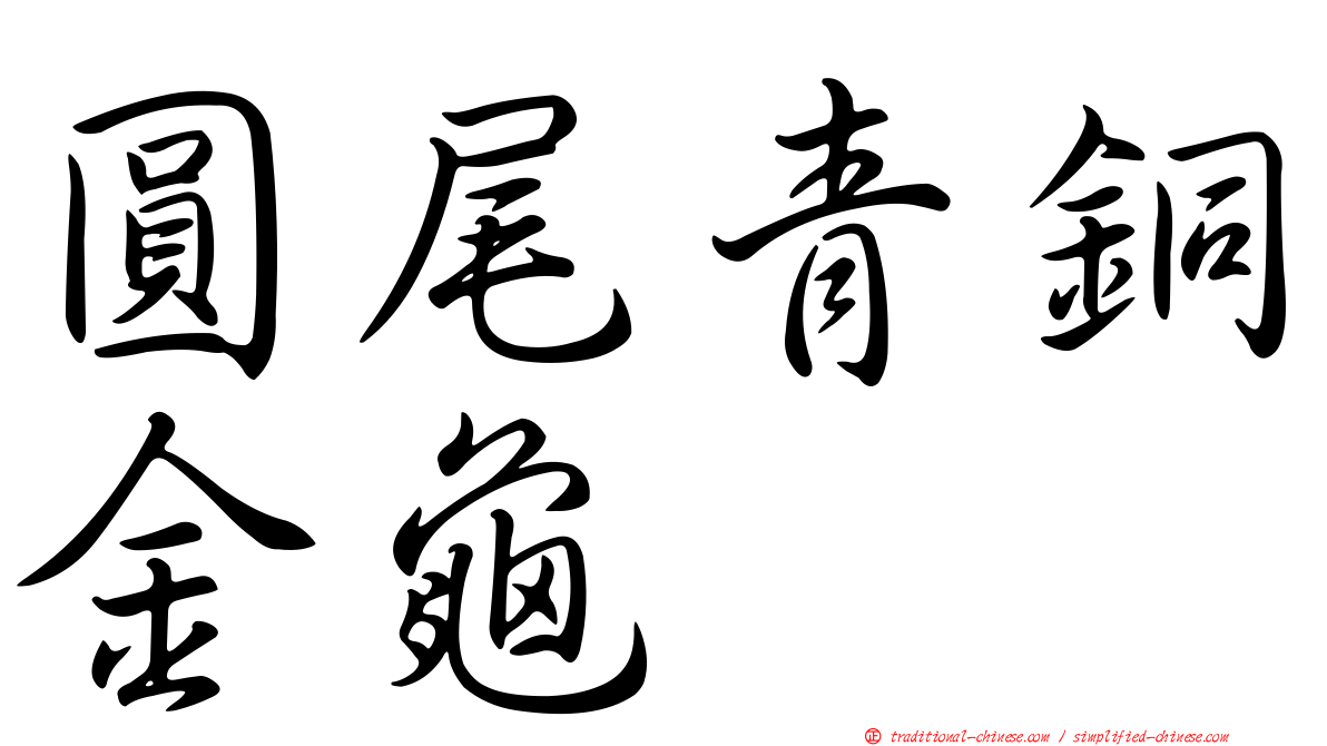 圓尾青銅金龜