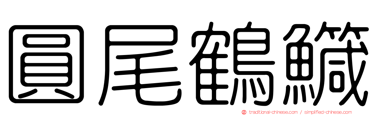 圓尾鶴鱵