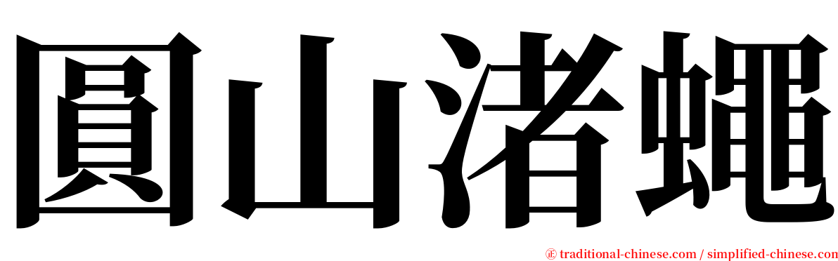 圓山渚蠅 serif font