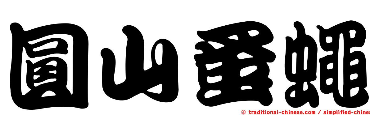 圓山蚤蠅