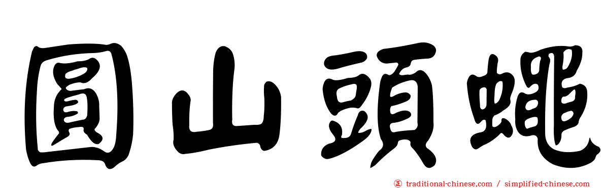 圓山頭蠅