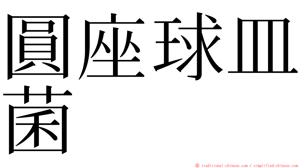 圓座球皿菌 ming font