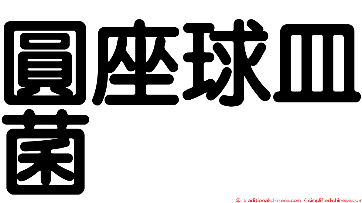 圓座球皿菌