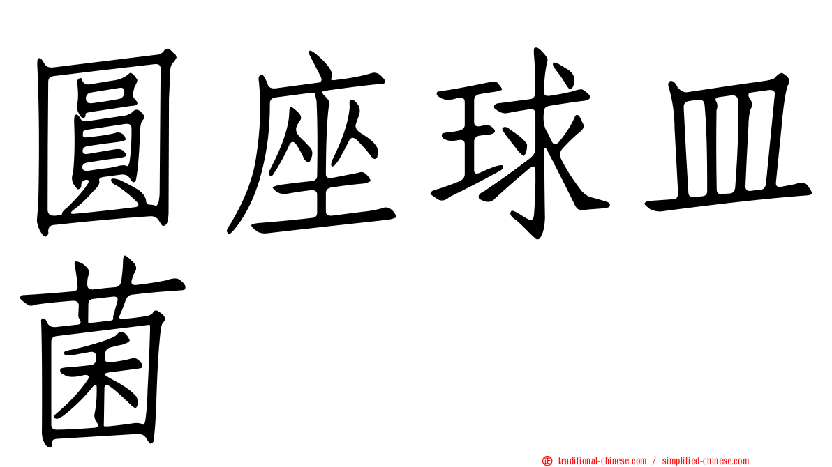 圓座球皿菌