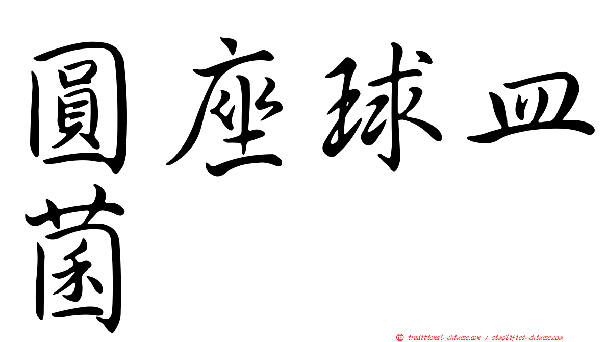 圓座球皿菌