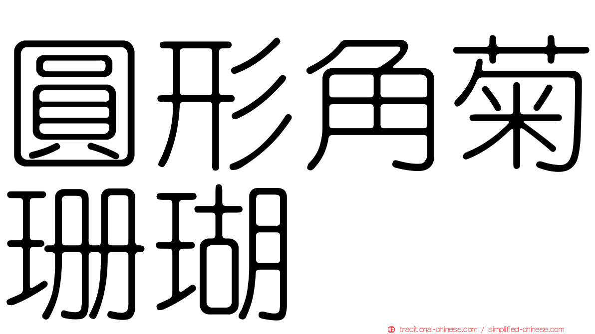 圓形角菊珊瑚