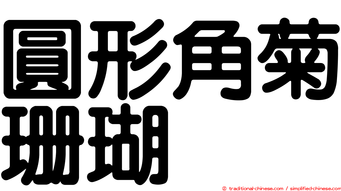 圓形角菊珊瑚