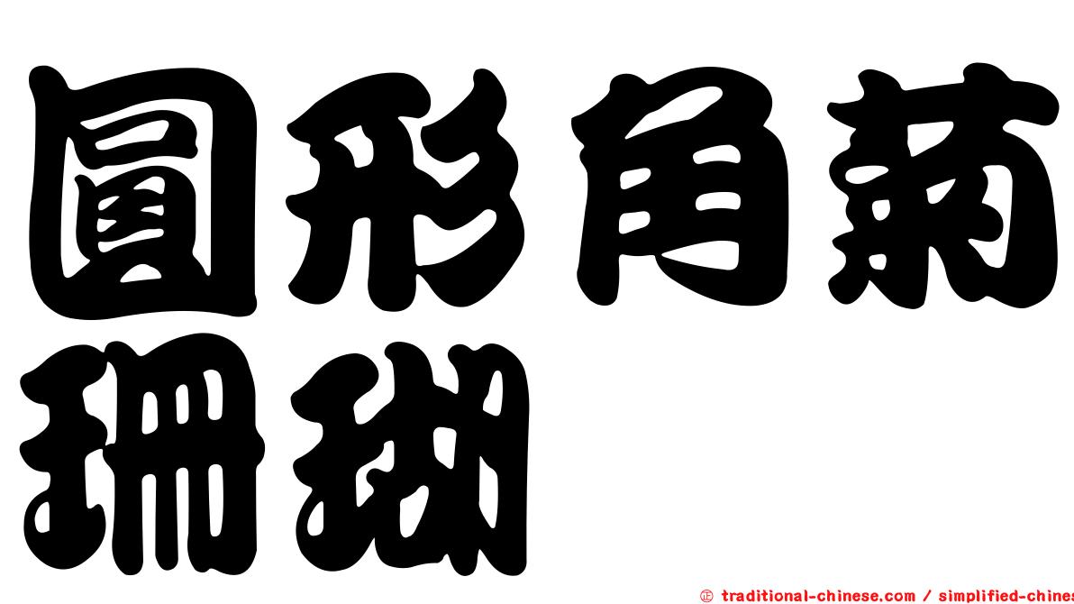 圓形角菊珊瑚