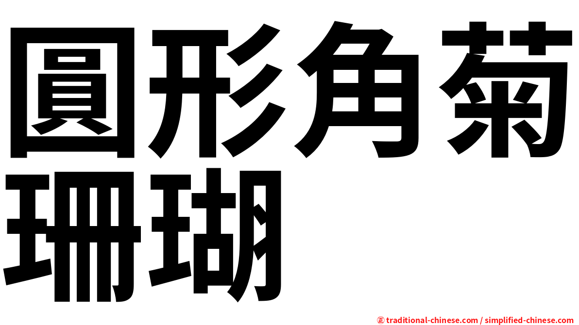 圓形角菊珊瑚