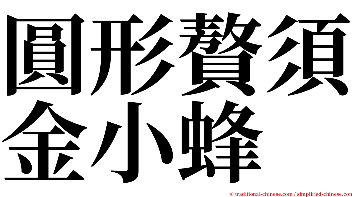 圓形贅須金小蜂 serif font