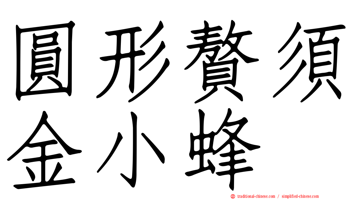 圓形贅須金小蜂